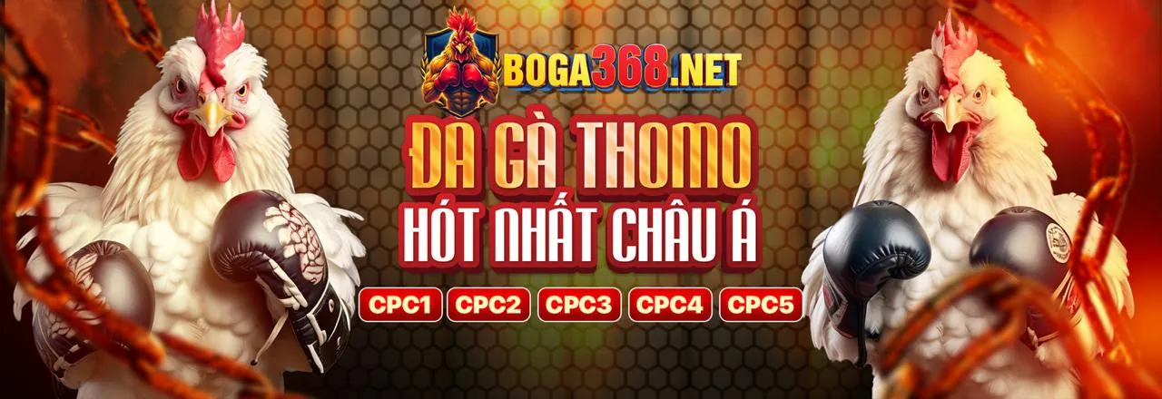 Ưu đãi mới nhất từ tải vip666