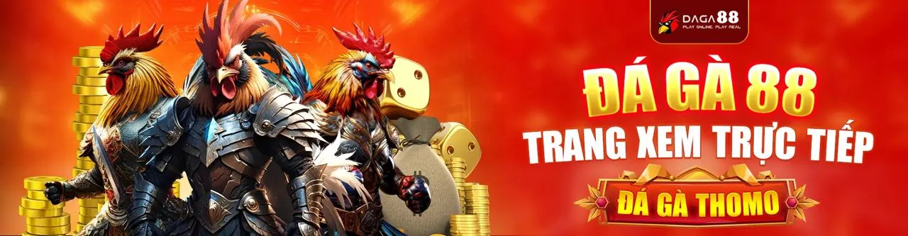 Nền tảng Giải trí VIP666