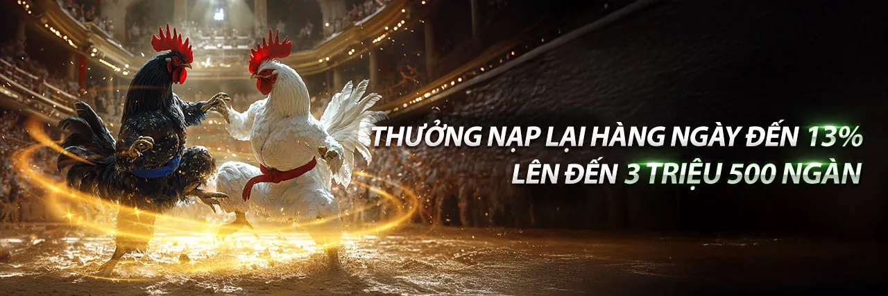 Sân đấu đá gà kịch tính tại tải vip666